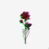 rosesclothesxo